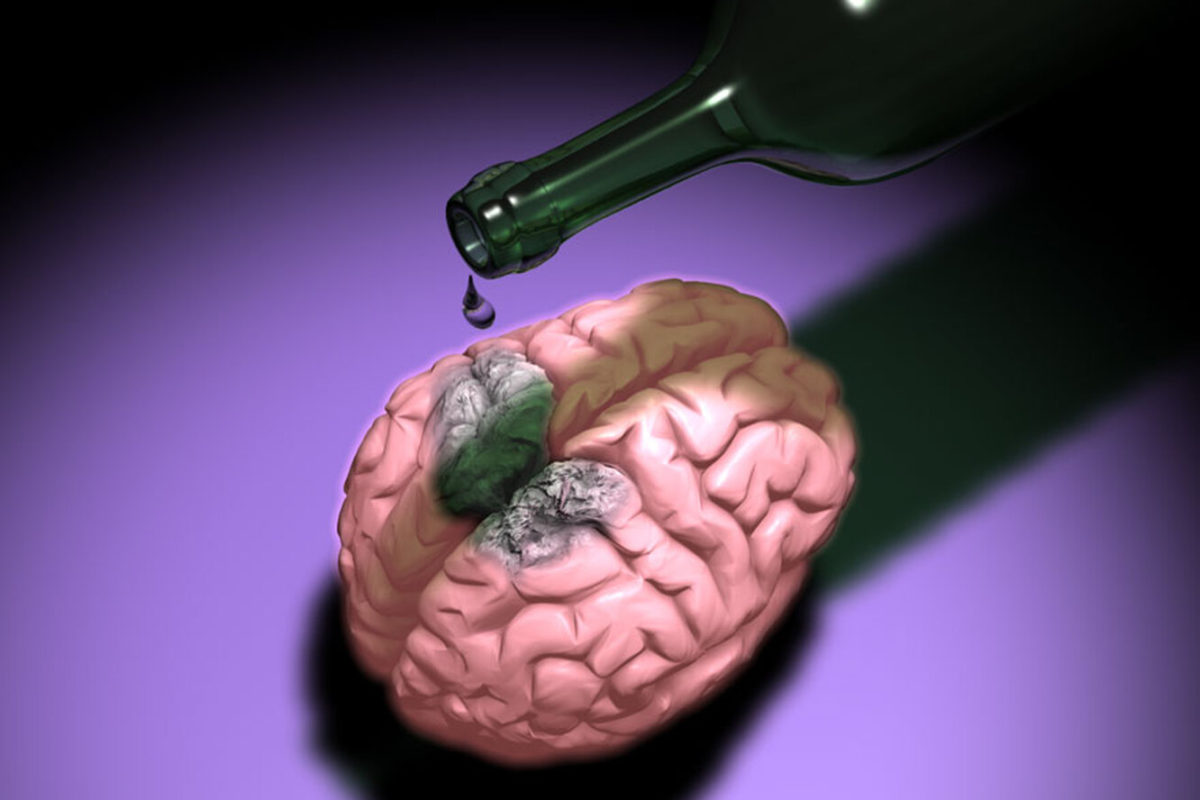 Как алкоголь влияет на работу головного мозга
